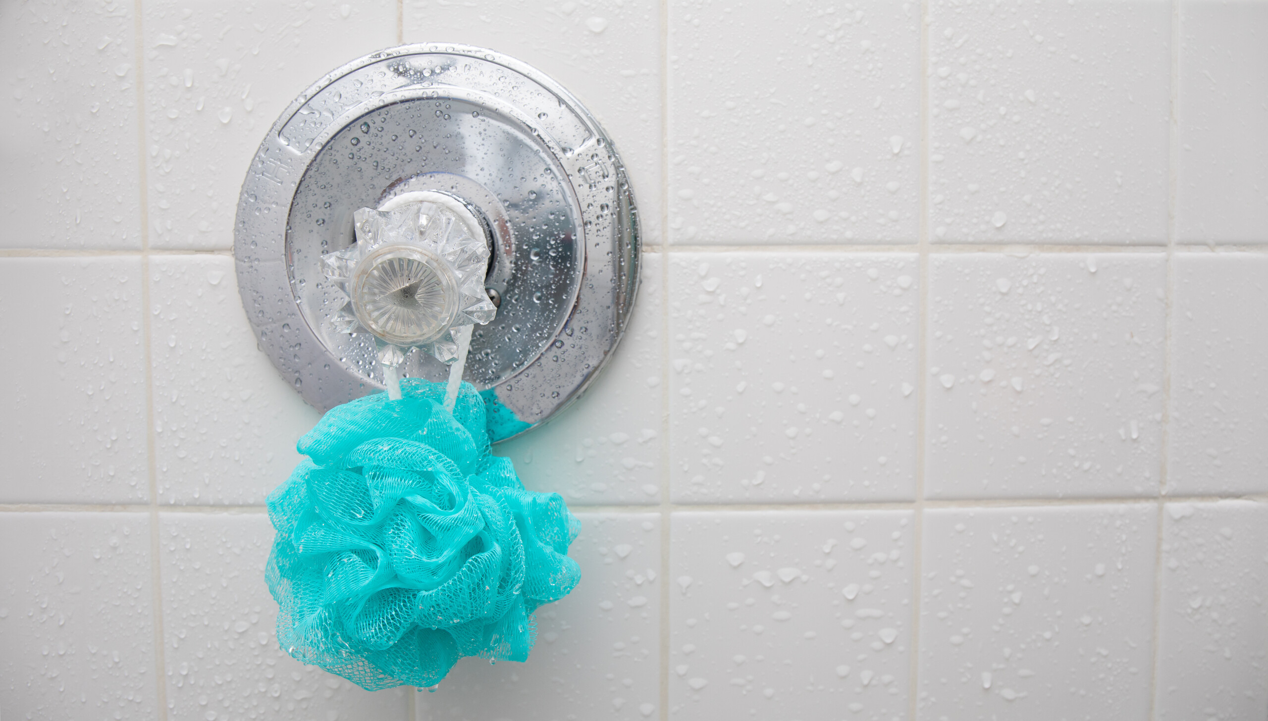 blue_loofah_hanging_shower